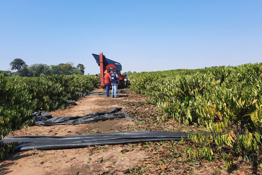 Produtividade do agronegócio de Rondônia chama a atenção de outros estados - News Rondônia