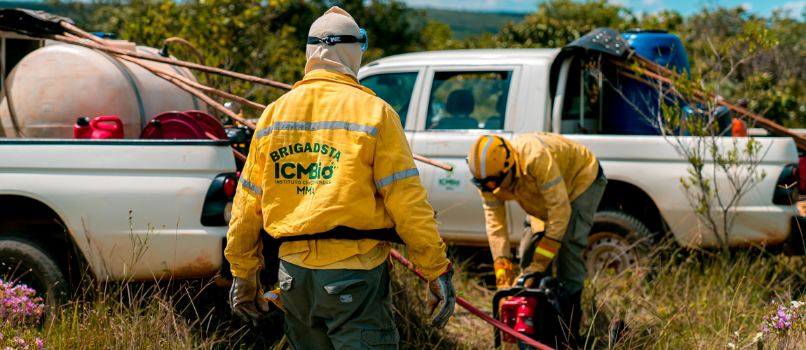 Editais abertos para a contratação de mais de 550 brigadistas pelo ICMBio - 24 Vagas em Guajará-Mirim - News Rondônia