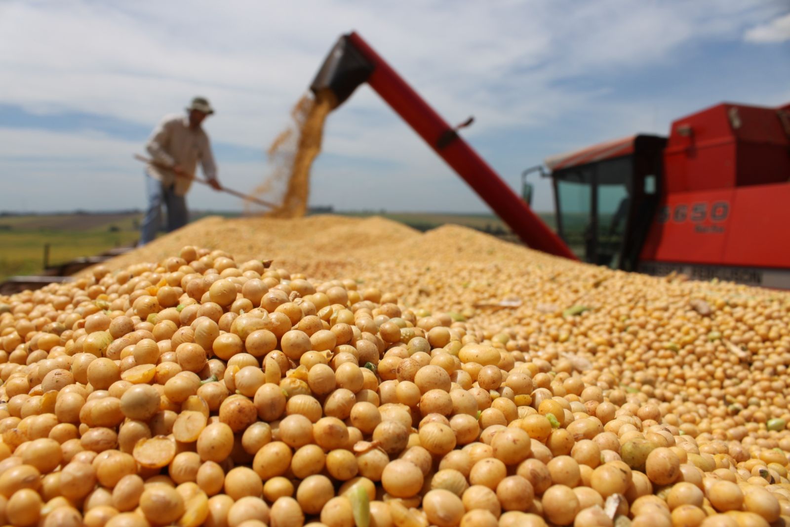 AGRONEGÓCIO PEDE RENOVAÇÕES EM RONDÔNIA! - News Rondônia