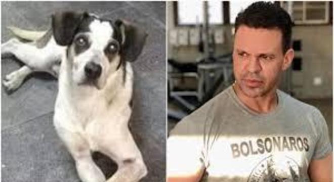 CANTOR MENOSPREZA ASSASSINATO DE CACHORRO NO CARREFOUR - News Rondônia