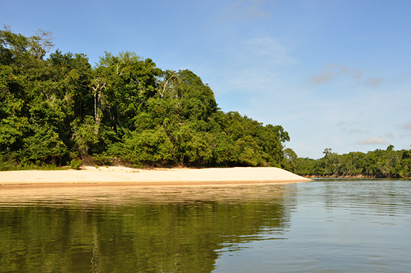 RONDÔNIA ASSINA TERMO DE COOPERAÇÃO PARA RESTAURAÇÃO FLORESTAL EM UNIDADES DE CONSERVAÇÃO - News Rondônia