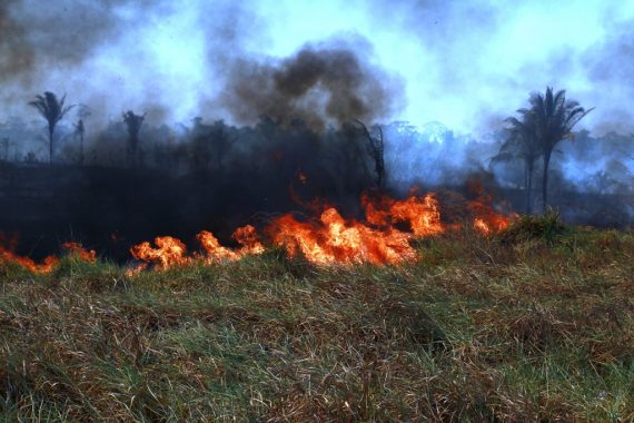PLANO DE PREVENÇÃO E COMBATE ÀS QUEIMADAS É IMPLEMENTADO PARA CONSCIENTIZAÇÃO E SUPORTE EM UNIDADES DE CONSERVAÇÃO EM RONDÔNIA - News Rondônia