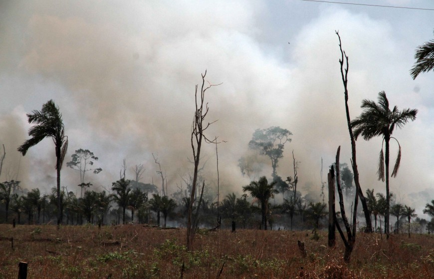PLANO DE PREVENÇÃO E COMBATE ÀS QUEIMADAS É IMPLEMENTADO PARA CONSCIENTIZAÇÃO E SUPORTE EM UNIDADES DE CONSERVAÇÃO EM RONDÔNIA - News Rondônia
