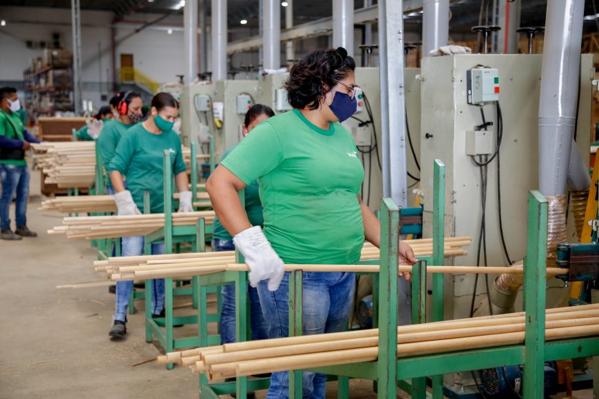 RETROSPECTIVA - Sedi executa ações de fomento à inovação, capacitação, geração de emprego e fortalecimento de empresas em Rondônia - News Rondônia