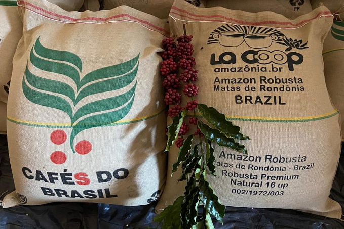 Novo preço mínimo para a saca de café conilon robusta de Rondônia durante a safra de 2021/22 é estabelecido - News Rondônia