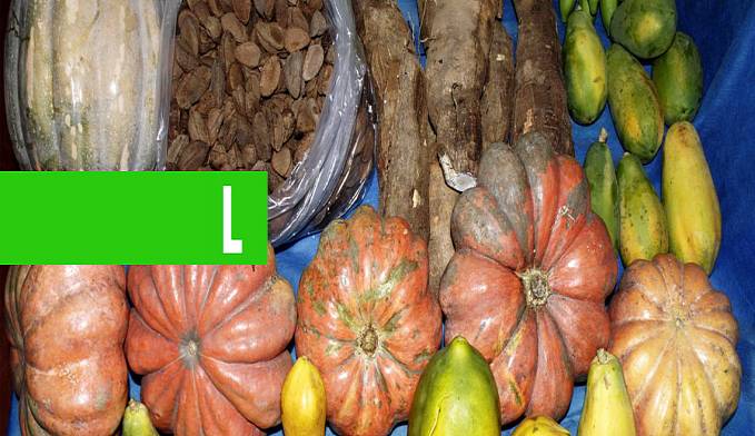 PAA - Rondônia inicia compras de produtores da agricultura familiar contempladas pelo Programa de Aquisição de Alimentos - News Rondônia