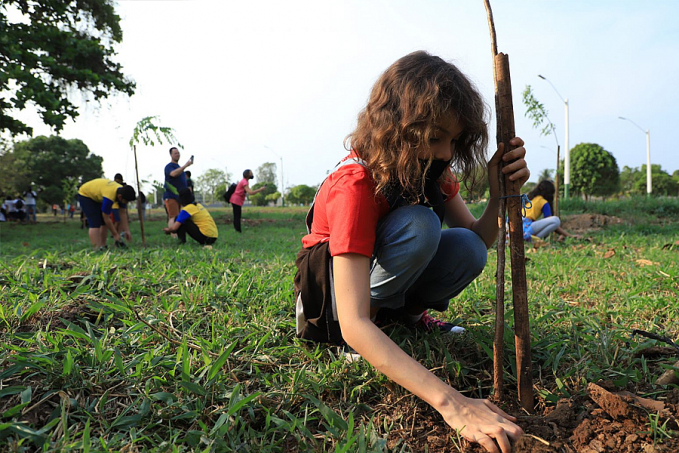 SKATE PARK: Estudantes plantam mudas no Parque Jardim das Mangueiras no Dia da Árvore - News Rondônia