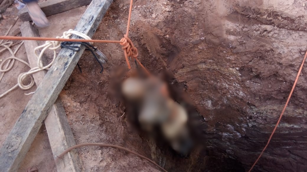 ALEGOU DEFESA: ENTEADO AFIRMA QUE MATOU IDOSO E OCULTOU CADÁVER - VEJA VÍDEO - News Rondônia