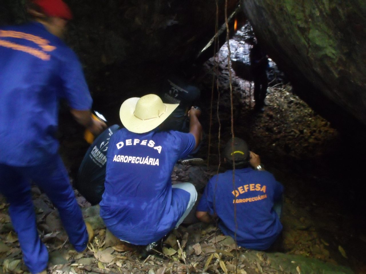 IDARON MONITORA E ORIENTA PRODUTORES RURAIS NO CONTROLE DA RAIVA EM NOVA BRASILÂNDIA - News Rondônia