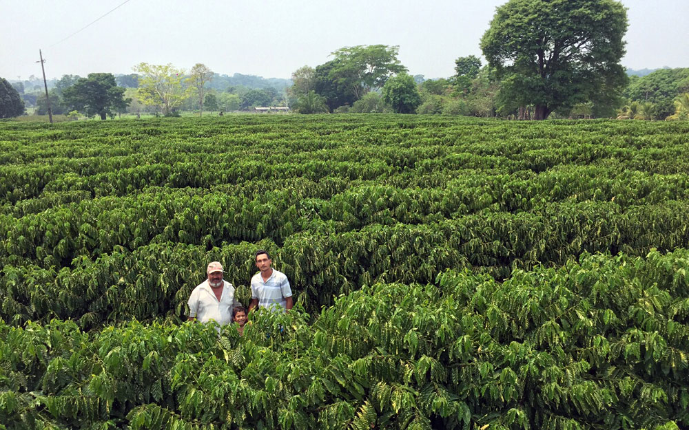 CONCAFÉ CHEGA À 5ª EDIÇÃO COM R$ 289 MIL EM PRÊMIOS E MUITAS EXPECTATIVAS - News Rondônia