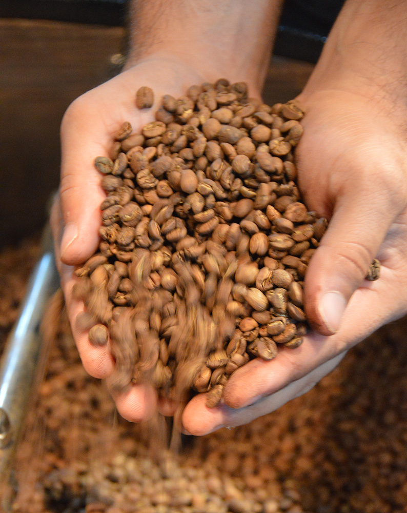 CONCAFÉ CHEGA À 5ª EDIÇÃO COM R$ 289 MIL EM PRÊMIOS E MUITAS EXPECTATIVAS - News Rondônia