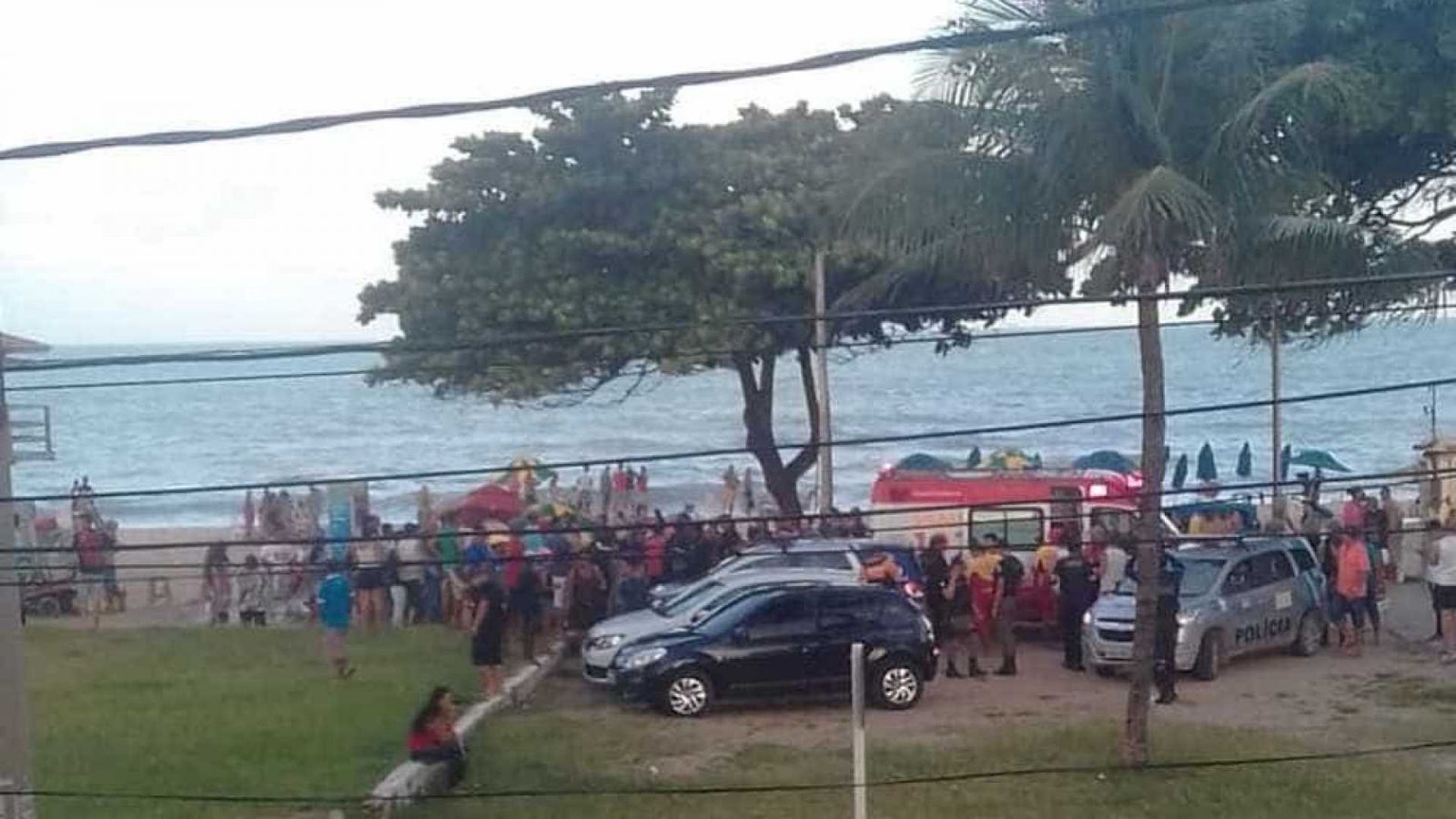 JOVEM É MORDIDO POR TUBARÃO EM PRAIA NO RECIFE - News Rondônia