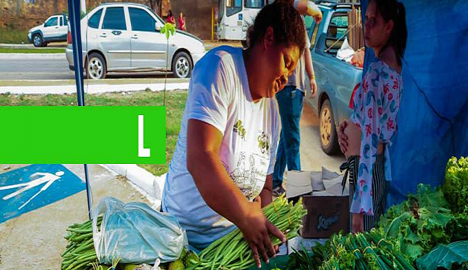 PRODUTORES RURAIS DA AGRICULTURA FAMILIAR EXPÕEM SEUS PRODUTOS EM FEIRA IDEALIZADA PELA EMATER-RO - News Rondônia
