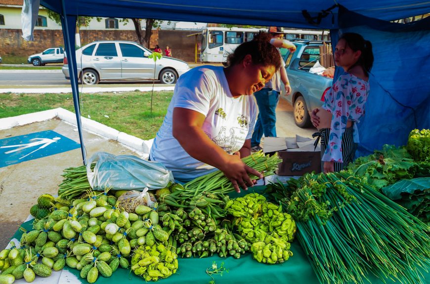 PRODUTORES RURAIS DA AGRICULTURA FAMILIAR EXPÕEM SEUS PRODUTOS EM FEIRA IDEALIZADA PELA EMATER-RO - News Rondônia