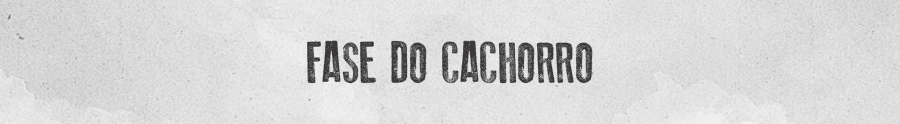 AS FASES DA VIDA: DO BEIJA-FLOR AO LOBO MAU - News Rondônia