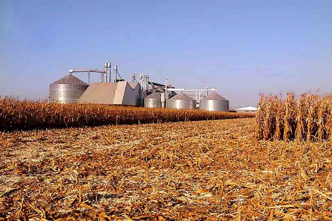 Conab lança aplicativo que auxilia produtores a calcular descontos de armazenagem - News Rondônia