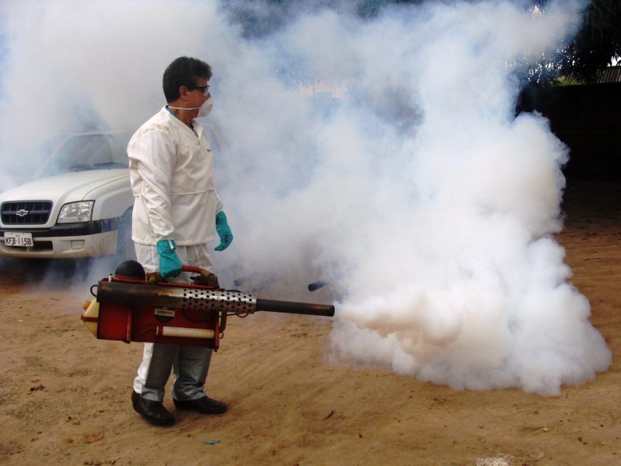 AGEVISA - Boletim epidemiológico aponta redução de casos da dengue e zika em Rondônia - News Rondônia