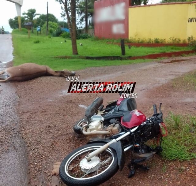 ROLIM DE MOURA  MOTOCICLISTA SOFRE ACIDENTE A CAMINHO DO TRABALHO AO COLIDIR EM MULA - News Rondônia