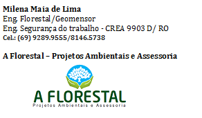 PEDIDO DAS LICENÇAS: JORGE ELI JARDIM EIRELI - News Rondônia