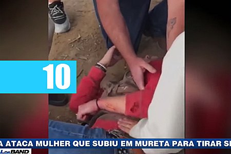 NOS ESTADOS UNIDOS, ONÇA PRETA ATACA MULHER QUE SUBIU EM MURETA PARAR TIRAR SELFIE - VEJA VÍDEO - News Rondônia
