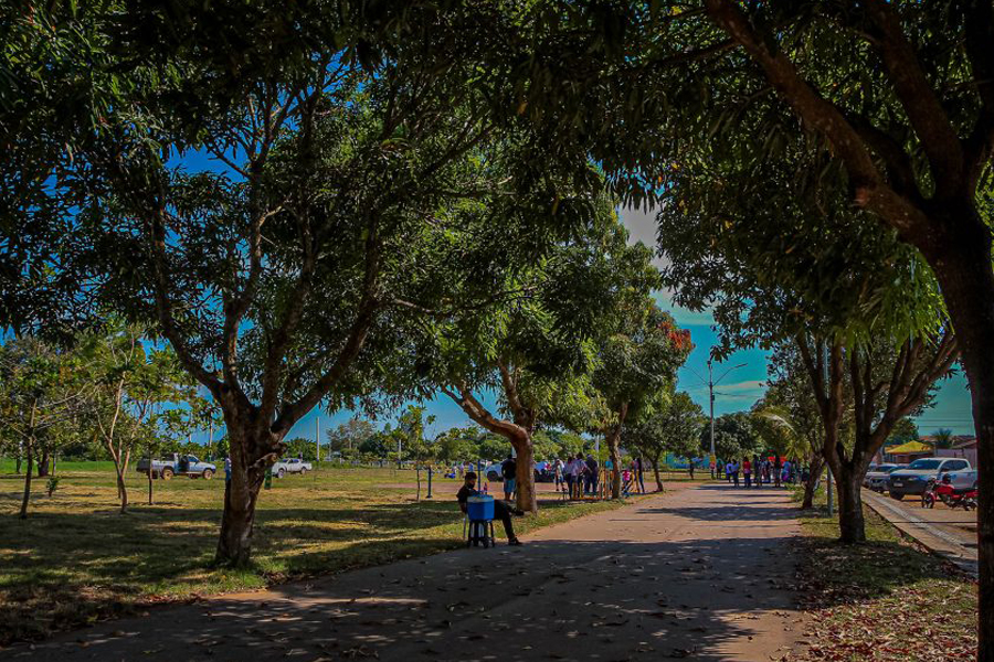 Mil Dias de Gestão: Sedam avança nas ações de desenvolvimento ambiental e preservação do ecossistema em Rondônia - News Rondônia