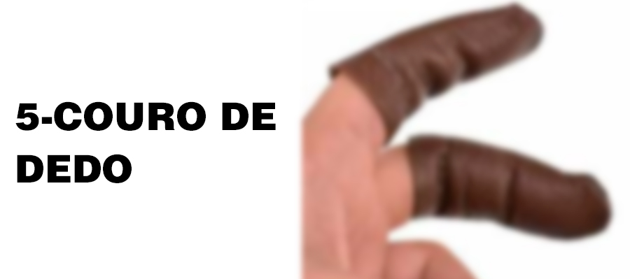 POLÍTICA & MURUPI: SAMBA DO CRIOULO DOIDO - News Rondônia