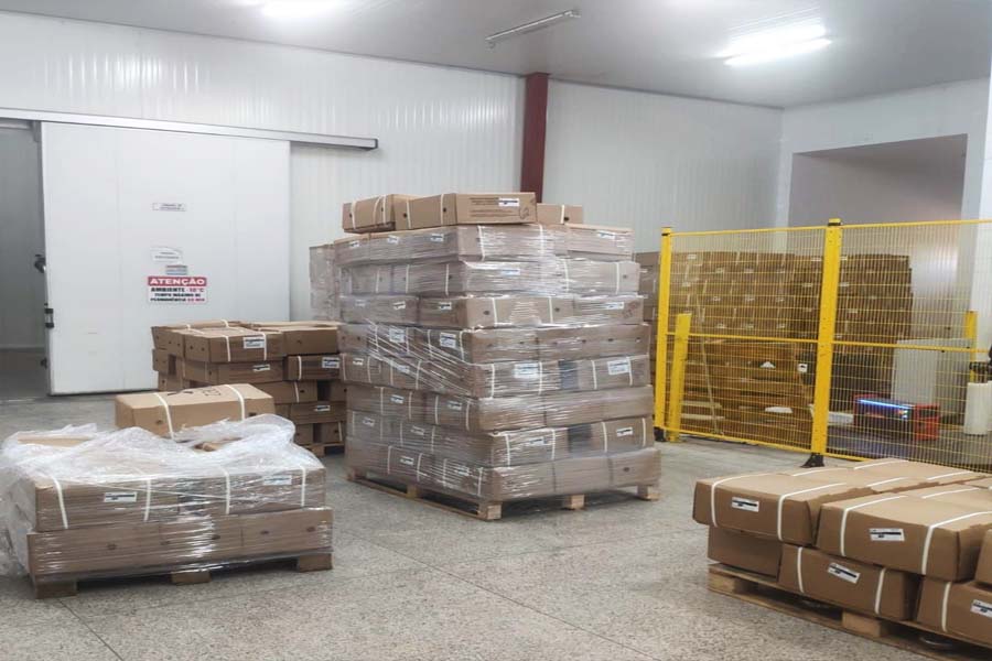 TAMBAQUI DA AMAZÔNIA: Peixes congelados seguem de Ariquemes para 26 estados e Distrito Federal - News Rondônia