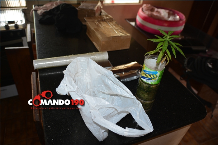 AÇÃO CONJUNTA ENTRE A PM E PC RESULTA NA APREENSÃO DE QUASE 16 QUILOS DE MACONHA - News Rondônia
