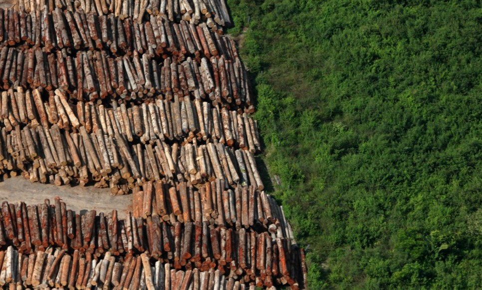 POLÍTICA & MURUPI: VIRANDO A PLATAFORMA - News Rondônia