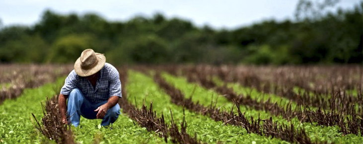 POLÍTICA & MURUPI: VIRANDO A PLATAFORMA - News Rondônia