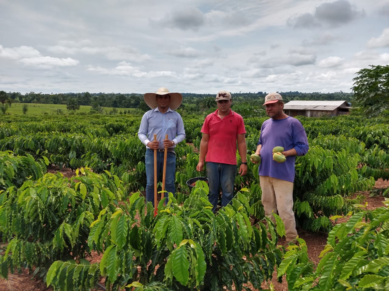 PRODUTORES DE ROLIM DE MOURA RECEBEM ASSISTÊNCIA TÉCNICA DA SECRETARIA MUNICIPAL DE AGRICULTURA - News Rondônia