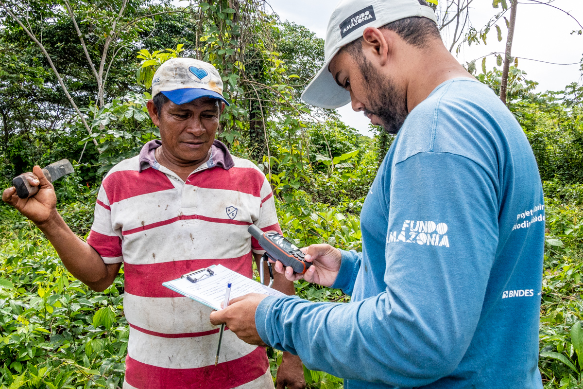 INSTITUTO MAMIRAUÁ ESTÁ À PROCURA DE BOLSISTAS PARA O ESTUDO DE PRÁTICAS AGRÍCOLAS NA AMAZÔNIA - News Rondônia