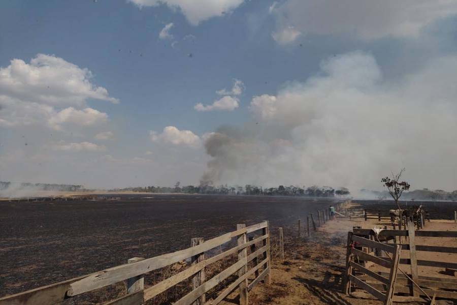 Fogo provoca destruição e quase atinge casa em propriedade rural de Cerejeiras - News Rondônia