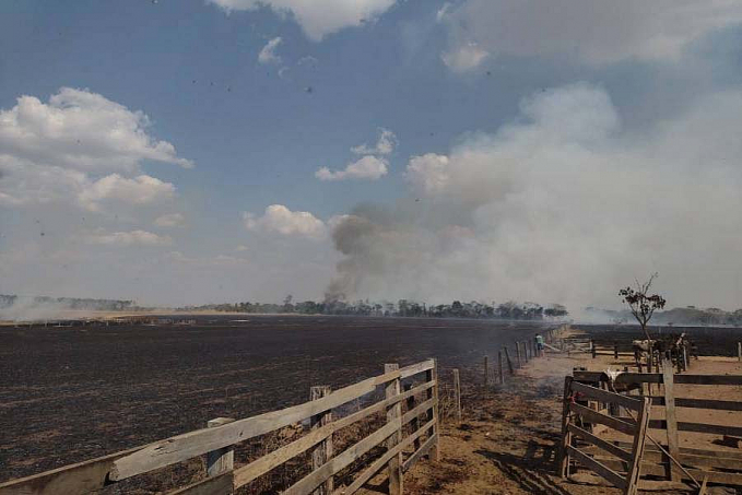 Fogo provoca destruição e quase atinge casa em propriedade rural de Cerejeiras - News Rondônia