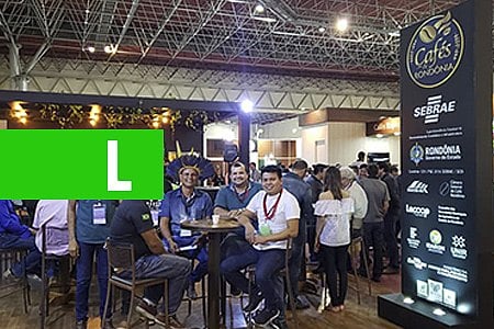 MERCADO - CAFÉS DE RONDÔNIA FAZEM SUCESSO EM FEIRA INTERNACIONAL - News Rondônia