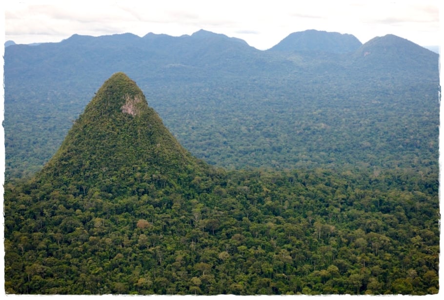 Após veto da Justiça Federal, TRF decide autorizar projeto que viabiliza a expansão da BR-364 entre CZS e Pucallpa no Peru - News Rondônia