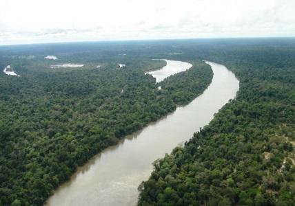 MPRO VAI REALIZAR SEMINÁRIO INTERNACIONAL COM FOCO NA GESTÃO PESQUEIRA NO RIO MADEIRA - News Rondônia