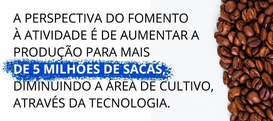 MERCADO DO CAFÉ DE CACOAL E OUTROS 14 MUNICÍPIOS É FORTALECIDO COM CRIAÇÃO DA CAFERON - News Rondônia