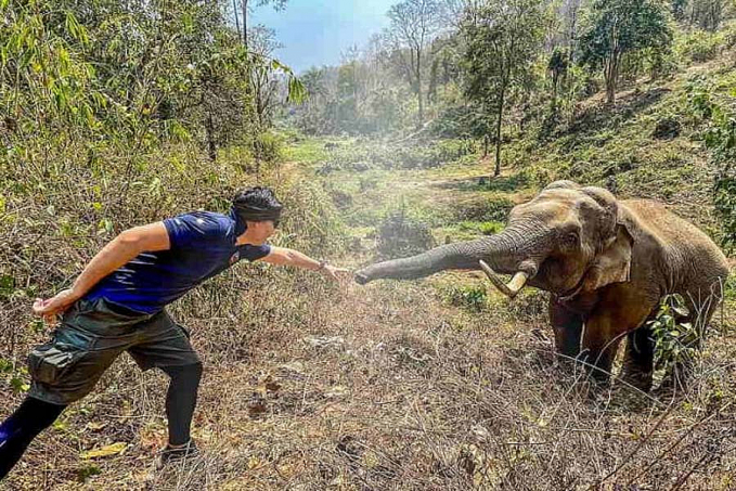 Elefante grato reconhece veterinário que salvou sua vida 12 anos atrás - News Rondônia