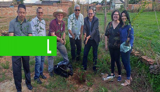 SINJOR: JORNALISTAS COMEMORAM DIA DO MEIO AMBIENTE - News Rondônia