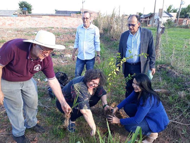 SINJOR: JORNALISTAS COMEMORAM DIA DO MEIO AMBIENTE - News Rondônia