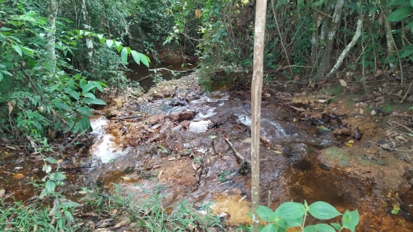 Moradores do setor Chacareiro Recanto dos Pássaros fazem abaixo-assinado contra construção de Aterro Sanitário no local - News Rondônia