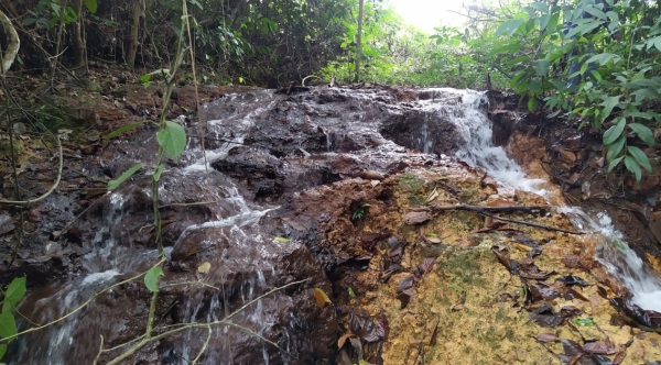 Moradores do setor Chacareiro Recanto dos Pássaros fazem abaixo-assinado contra construção de Aterro Sanitário no local - News Rondônia