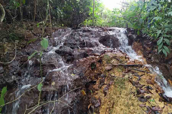 Moradores do setor Chacareiro Recanto dos Pássaros fazem abaixo-assinado contra construção de Aterro Sanitário no local - News Rondônia