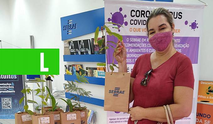 SUSTENTABILIDADE - Sebrae atende seus clientes e ajuda a preservar o meio ambiente - News Rondônia