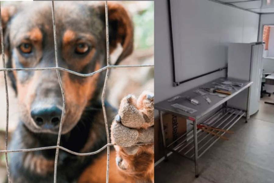 Inaugurado 1º Instituto Médico Veterinário Legal do Brasil - News Rondônia