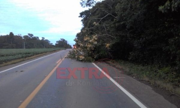VILHENENSE MORRE APÓS COLIDIR DE FRENTE COM CARRETA NA BR-174 - News Rondônia