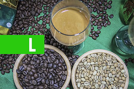 QUALIDADE DO CAFÉ ROBUSTA PRODUZIDO EM RONDÔNIA É DEBATIDO COM ESPECIALISTAS DURANTE SEMINÁRIO EM PORTO VELHO - News Rondônia