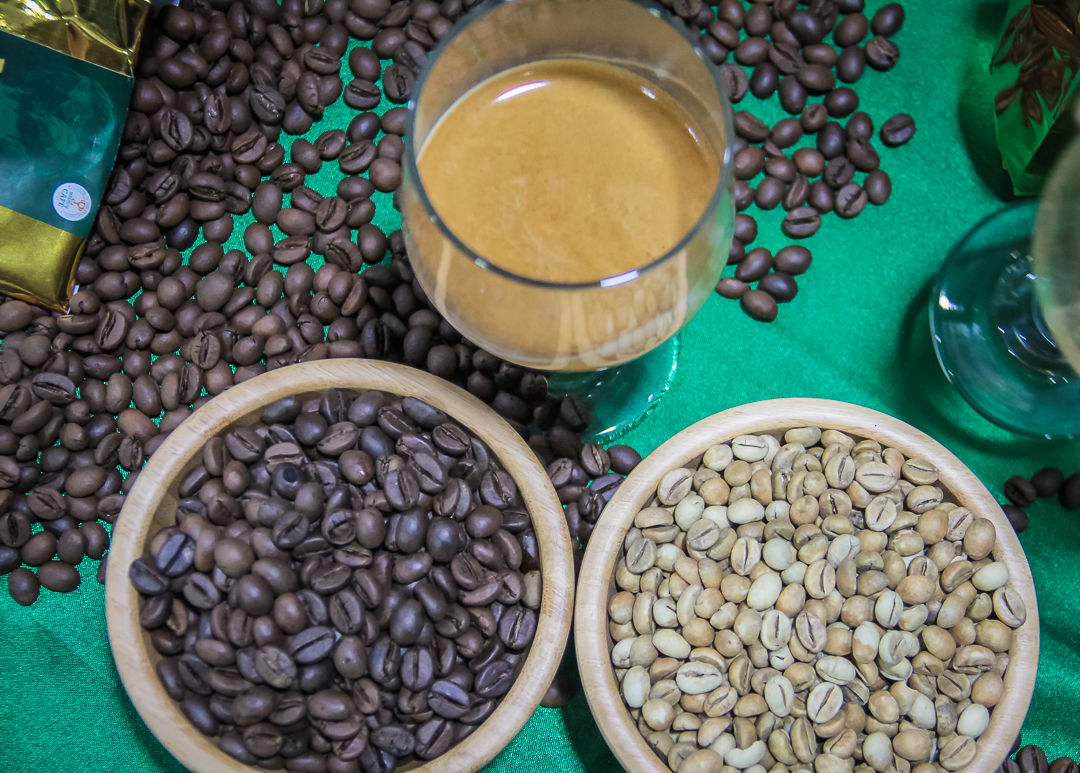 QUALIDADE DO CAFÉ ROBUSTA PRODUZIDO EM RONDÔNIA É DEBATIDO COM ESPECIALISTAS DURANTE SEMINÁRIO EM PORTO VELHO - News Rondônia