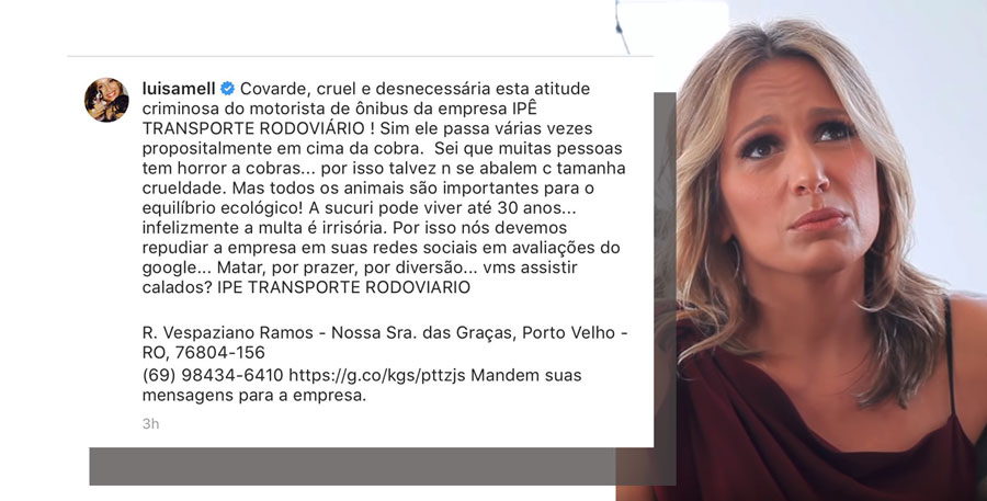 FICO ASSUSTADO COM A CRUELDADE DO MOTORISTA, DIZ PADRE FÁBIO DE MELO SOBRE ATROPELAMENTO DE COBRA EM RONDÔNIA - News Rondônia